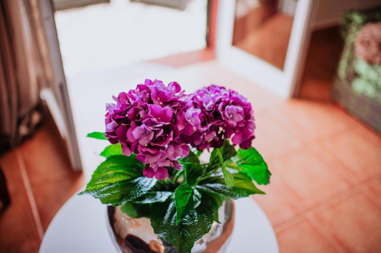 Villa Amore Accommodation Paul do Mar  Esterno foto
